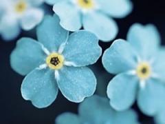 行楷600个常用字图片,求硬笔书法常用字字体截图