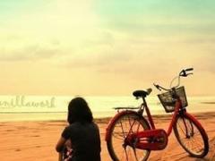 成都进口奶粉通关时间将缩短近三分之二 因四川自贸区建立截图