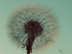 四川司法鉴定服务收费新标准出炉 法医物证声像三类有最高价截图