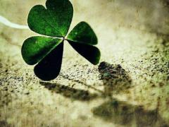 qiu的汉字,有没有一个_qiu_这个姓氏？截图